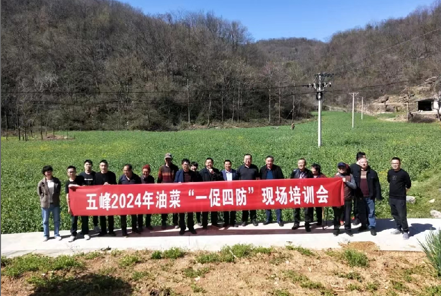 截图20240417154315.png 截图20240417154315.png