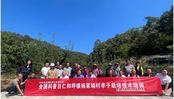 图片3.png 图片3.png