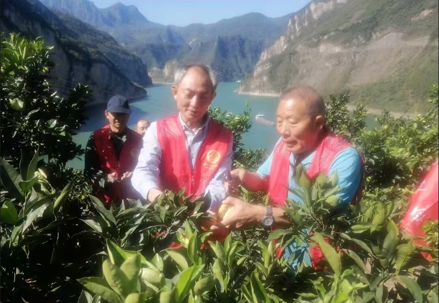 微信截图_20241101215225.png