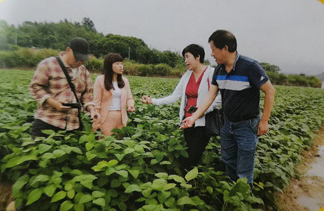 图片8.png 图片8.png